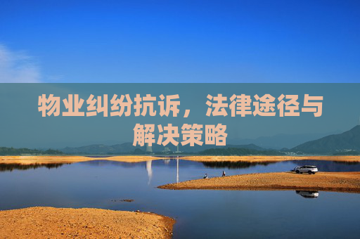 物业纠纷抗诉，法律途径与解决策略