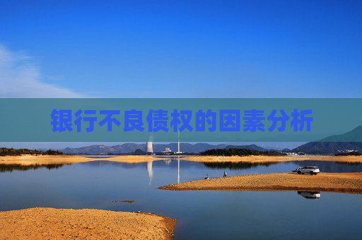 银行不良债权的因素分析
