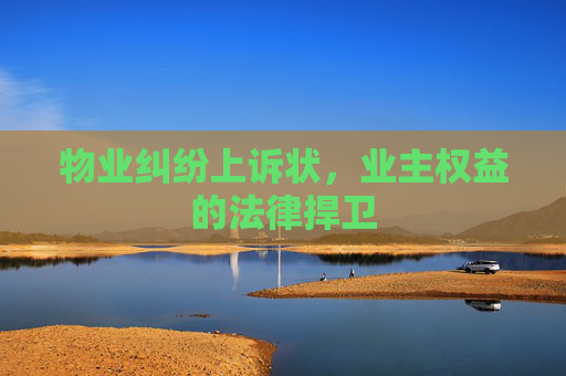 物业纠纷上诉状，业主权益的法律捍卫