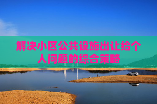 解决小区公共设施出让给个人问题的综合策略