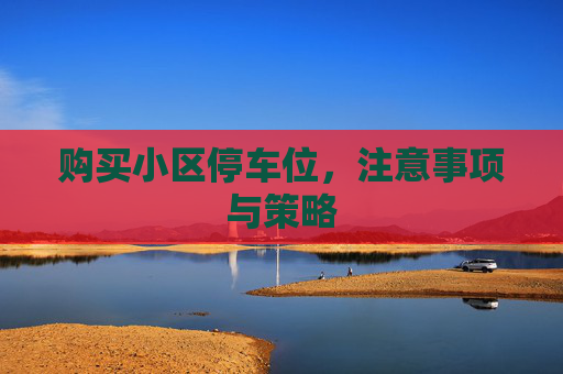 购买小区停车位，注意事项与策略