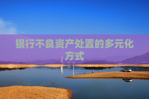银行不良资产处置的多元化方式