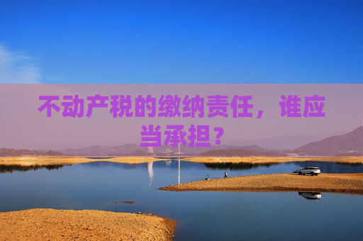 不动产税的缴纳责任，谁应当承担？
