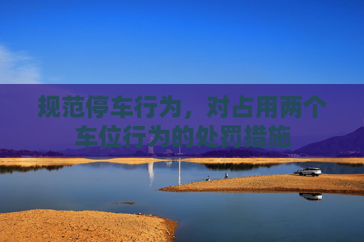 规范停车行为，对占用两个车位行为的处罚措施