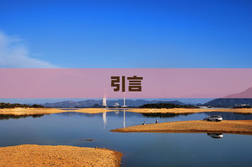 引言